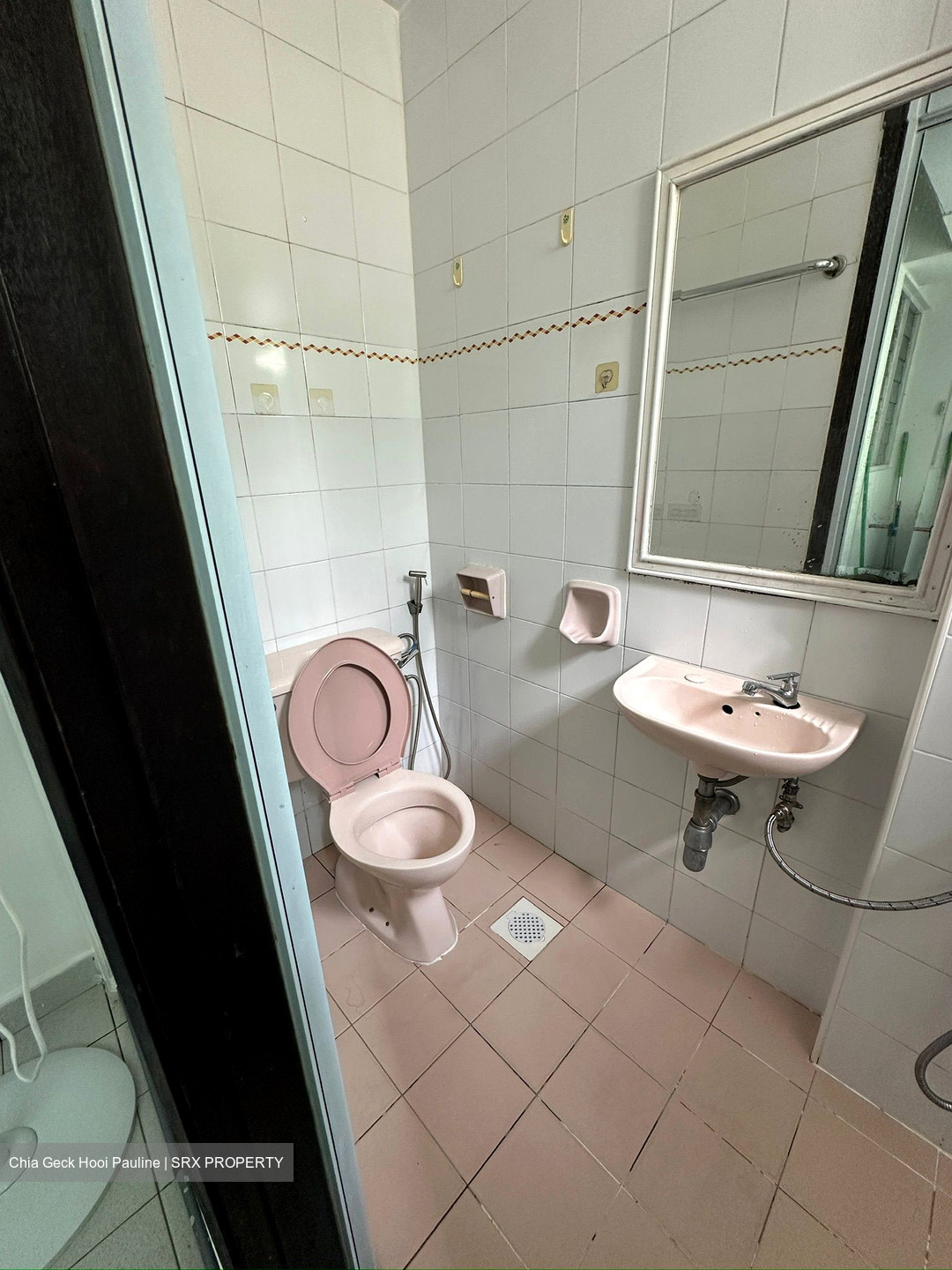 Pasir View Park (D5), Condominium #496700731